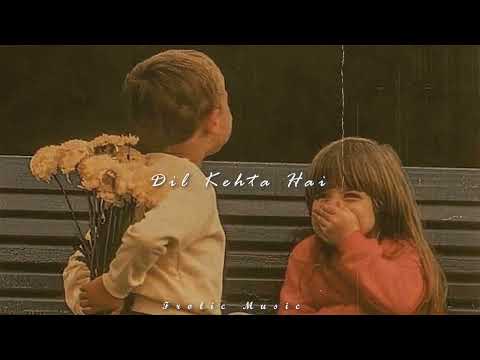 Dil Kehta Hai - Lofi Mashup | Perfect Slowed Reverb - Frolic Music🎧