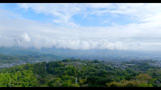 [4K]  頭高山 八重桜 Yaezakura Cherry Blossoms in Late April – Mt. Zukko, Hadano City, Kanagawa, Japan