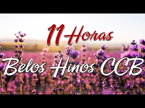 Hinos CCB 2023 - Hinos Ccb Para Oração Da Manhã De Hoje - A Melodia Do Hino Ccb Acalma A Alma