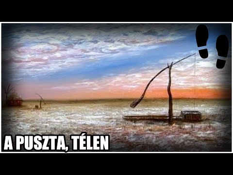 Petőfi Sándor: A puszta, télen - Gyorstalpaló