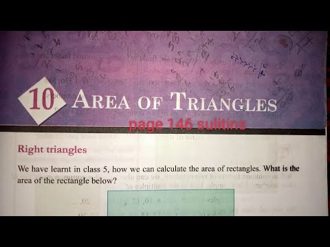 7th maths /unit 10/Area of triangles /page 146 solutions