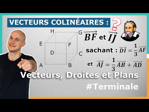 Montrer que 2 VECTEURS sont COLINÉAIRES dans l'Espace - Exercice Corrigé - Terminale