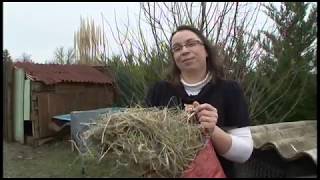 Thumbnail del capítulo