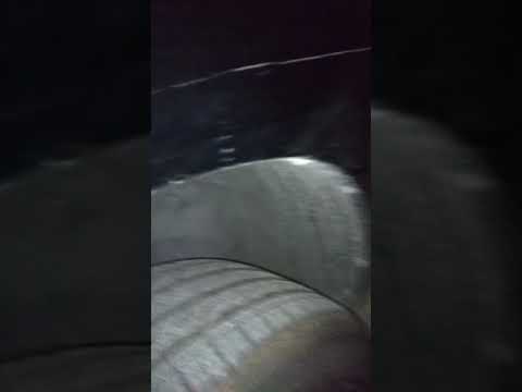 Close call with an unknown species of spider