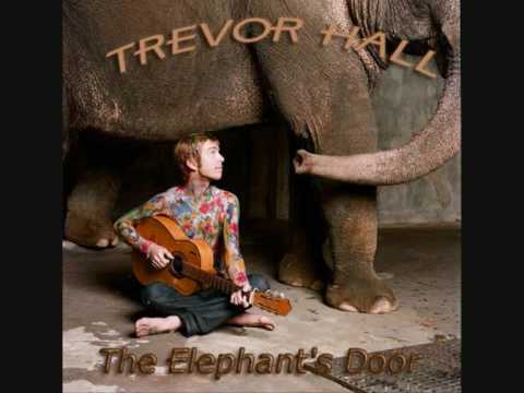 Trevor Hall - All I Can Do - With Lyrics