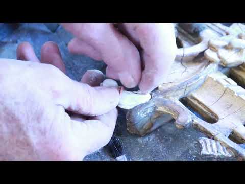 Restoration: Gilt Wood Frame Plaster Disaster — 18th Century Mirror Frame Fell off the Wall