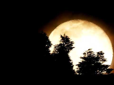 Full moon view (Cold Moon) Shot on Nikon P1000 #bhaderwah #jammukashmir #fullmoon #moon #nikonp1000