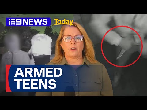 Police hunting for armed group of teens who terrorised residents in Toowoomba | 9 News Australia