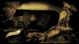 Dir En Grey - Dead Tree [PV] [w/ English Lyrics]