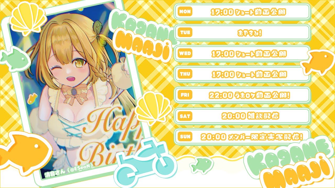 配信スケジュール