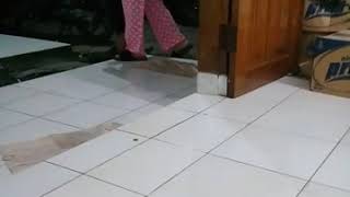 Download lagu Spg hot compilation mp3 Download lagu Spg hot compilation mp3