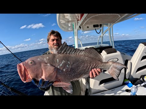 The BEST Way to Catch GIANT Red Grouper in the Gulf of Mexico *Catch, Clean & Cook* #fishing