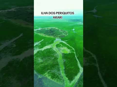 arari Maranhão