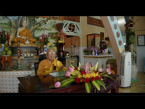 Thiền Sư An Lạc Hạnh|" Trả  lời câu hỏi chiều" (08-11-2022)