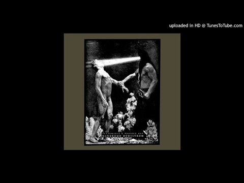 Alfarmania & Proiekt Hat - For All Those Who Died - Endguldigkeit Des Dunkels