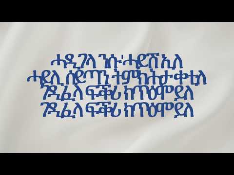 Merhawi Kidane (Qarya) - Hadigela (Lyrics Video)