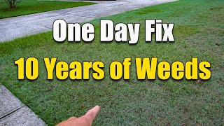 How to Fix an Ugly Lawn - Killing Lawn Weeds