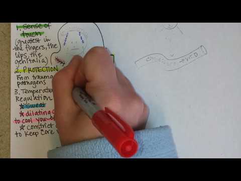 Integumentary System, Part 1