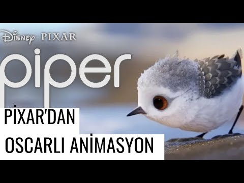 Pixar'dan Oscar Ödüllü Kısa Animasyon PİPER | Korkularını Yenmek Üzerine Kısa Film