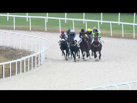 2019.11.10 07. futam - LÓVERSENYZÉST FELÜGYELŐ BIZOTTSÁG DÍJA (I.kat.) (szintetikus pálya)