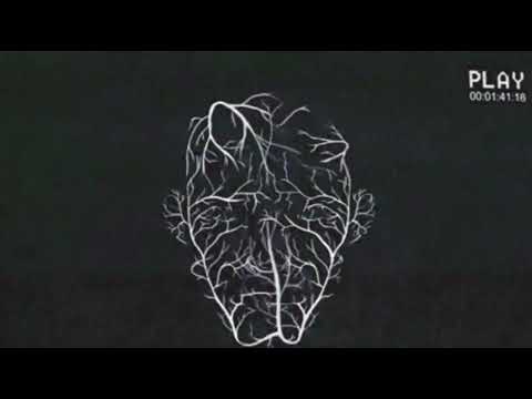 ⛓DIGRESS⛓ x EDOLLO - L.A.F. Feat. SLEN (Slowed at the perfect time + Light Yagami laugh)