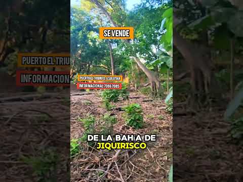 SE VENDE TERRENO TURÍSTICO EN PUERTO EL TRIUNFO