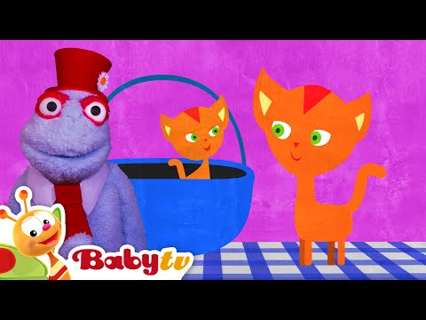 Dog and Cat      in a Funny Animals Video | Cartoons @BabyTV - YouTube