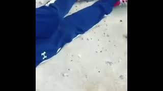 Billy Kain Pickled Eggs n HotSausage