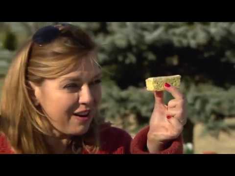 Gasztroangyal 14. rész – Mór és környéke (2015)