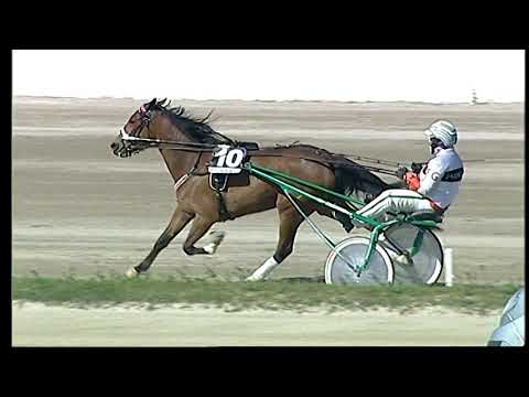 Napoli Trotto 28/03/2021 - 5ª corsa