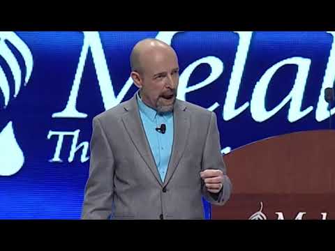 Cats Have a New York Attitude