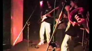 Purple Haze - The Best Cover - Mocoto Jam