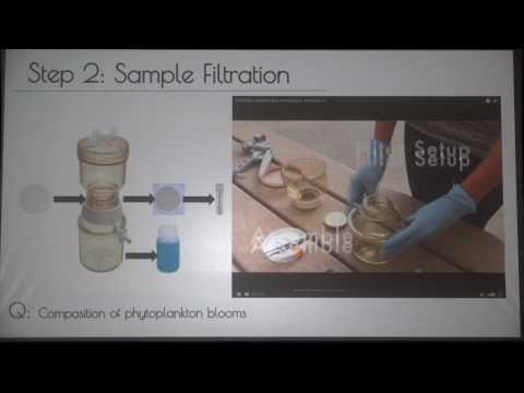 Allison Lee MAS Final Capstone Presentation