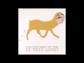 Clap Your Hands Say Yeah - Is This Love?