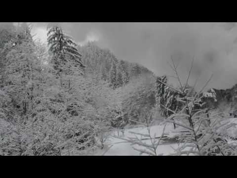 Mocanita Maramures iarna ... Ireal video