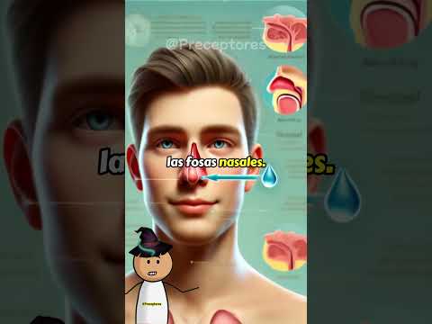 ¡Descubre por qué una de tus fosas nasales siempre está tapada! 😱 #shorts