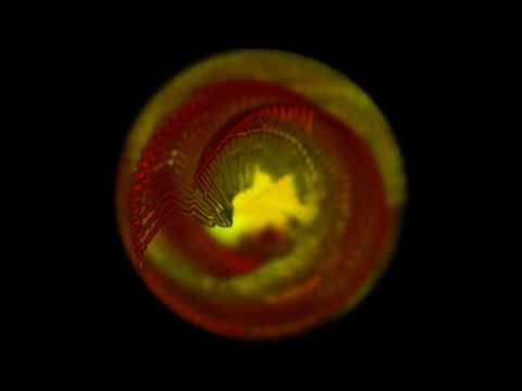 Scientist - King Tubby's Answer