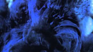 Days Like These- Max Scialdone (Official Music Video)