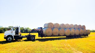 A Little Hay Hauling Action for Ya!!!