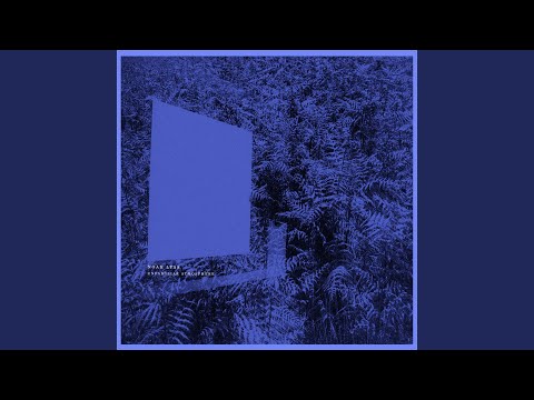 Continuum (Original Mix)