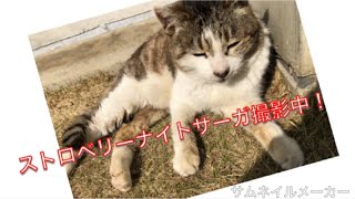 ストロベリーナイト・サーガ撮影中 mqdefault - ストロベリーナイト・サーガ撮影中