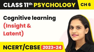 Cognitive learning (Insight & Latent)  | Class 11 Psychology Chapter 6