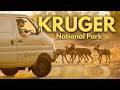 I Went to the Kruger National Park in a Fully-Kitted Panel Van! DEFAULT Thumbnail