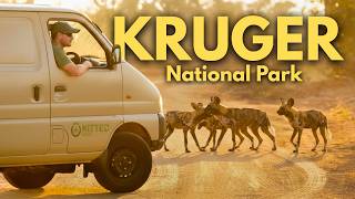 I Went to the Kruger National Park in a Fully-Kitted Panel Van! MQDEFAULT Thumbnail