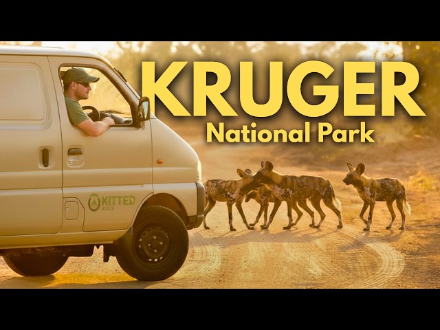 I Went to the Kruger National Park in a Fully-Kitted Panel Van! SDDEFAULT Thumbnail