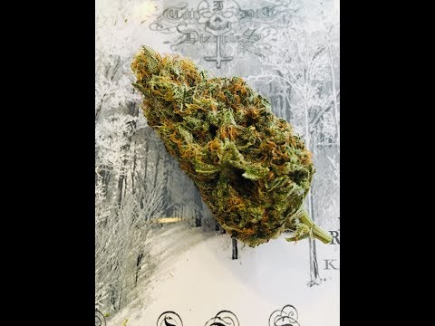 Robert AK47 & Lady Murda - Super Silver Haze (Happy 4/20 )