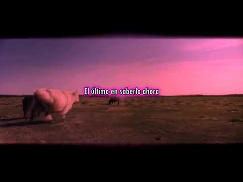 Steve Aoki - Last One To Know (ft. Mike Shinoda & Lights) | Subtitulado al Español