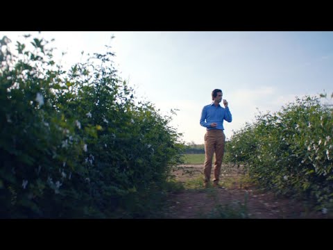 "I am a Craft" ft. the voice of Anna Mouglalis, CHANEL Parfumeur – CHANEL Fragrance