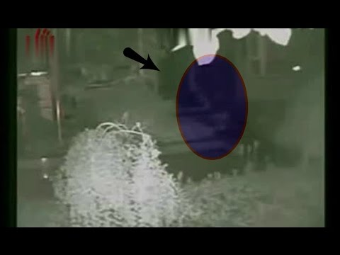 Most Scariest Snake Like Ghost Caught On Tape Video