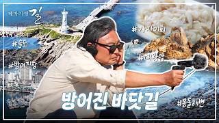 여름 바다의 정석, 울산 방어진 방파제에서 대왕암까지 걷는 탐방
